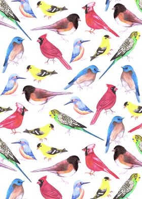 Colorful watercolor birds