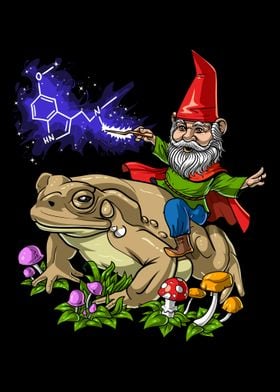 Gnome Riding Bufo Alvarius