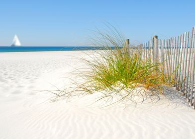 Sand Dune