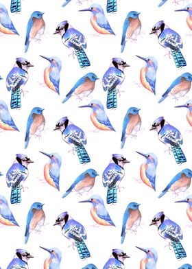 Birds in shades of blue