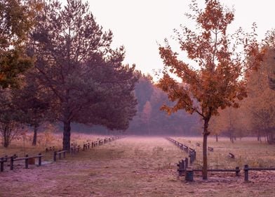 Autumn sunrise