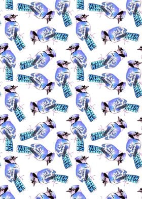 Blue Jay birds