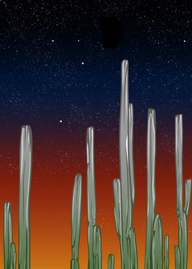 Cactus at night