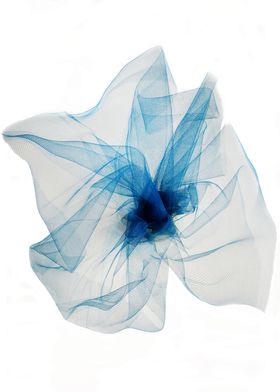 Blue veil flower