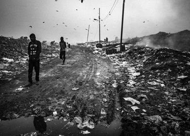 Misty day at garbage yard