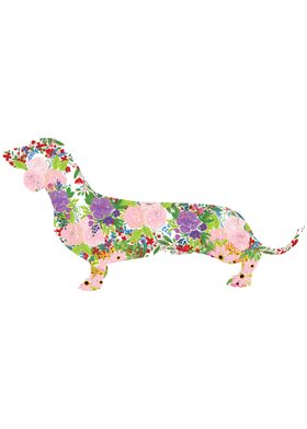 Floral Dachshund