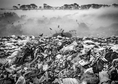 Garbage yard landscape