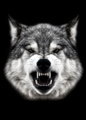 Angry Wild Wolf Head Metal Poster Print Mk Studio Displate