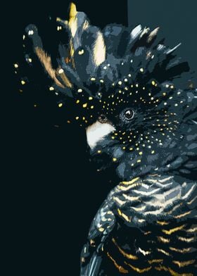 black cockatoo poster  
