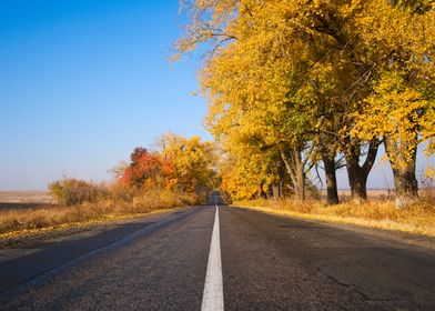 Autumn highway