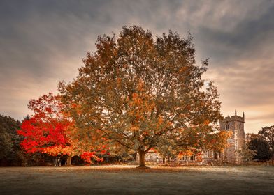 Autumn Colours