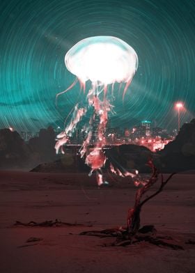 Jellyfish on earth
