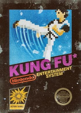 Retro gaming Kung Fu