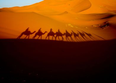 Desert walks