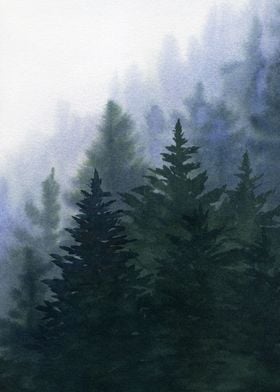 Forest in Fog II