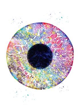 Human Eye