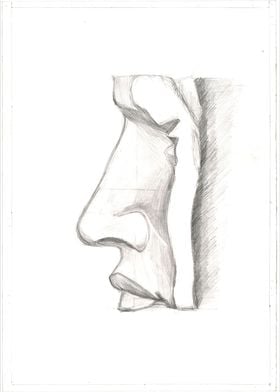 Gypsum face drawing profil