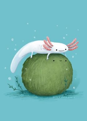 Axolotl on a Mossball