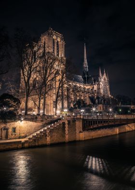Notre Dame Paris 9