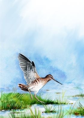 Common water bird