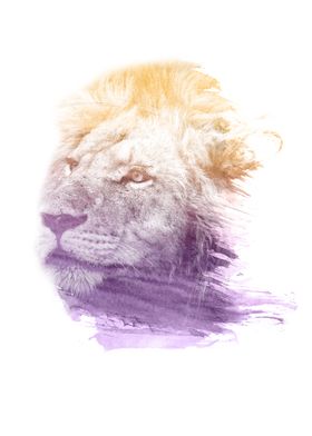 Lion Watercolor