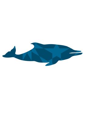 Dolphin Pattern