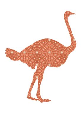 Ostrich Pattern