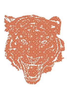 Tiger Head Pattern