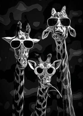 cool Giraffes black poster
