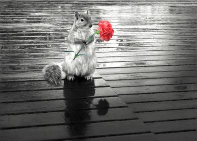 Rain or Shine Squirrel