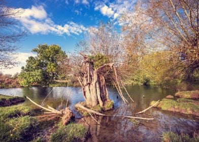 English Landscape