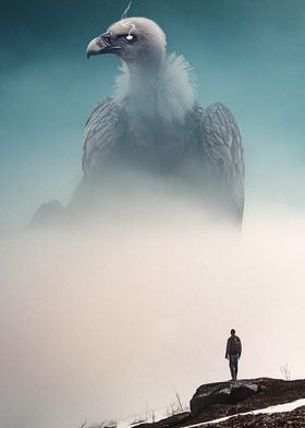 Vulture