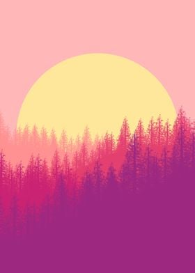 forest landscape sunset