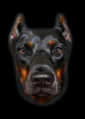 Doberman Dog