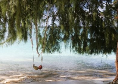 Swing over the ocean