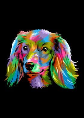 Rainbow color Dachshund 