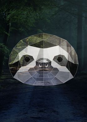 Geometric Sloth