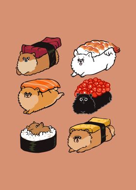 Sushi Pomeranian