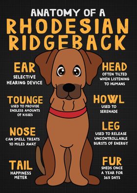 Rhodesian Ridgeback Dog