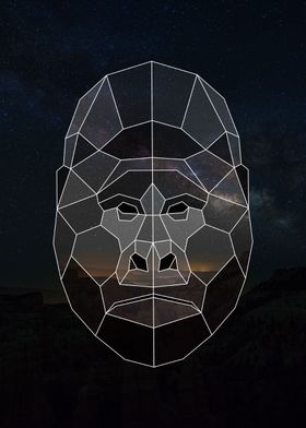 Geometric Gorilla