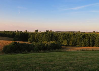 Summer evening