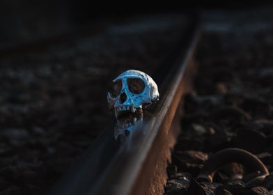 Skull on Railway