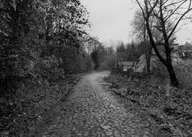 Old stone paved road