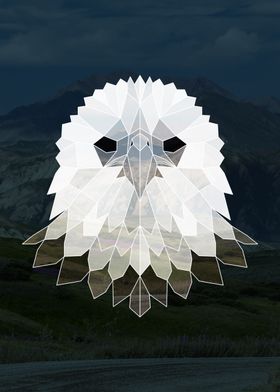 Geometric Eagle