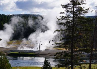 Hot geiser at Yellowstone