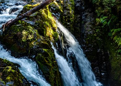 Sol Duc Falls