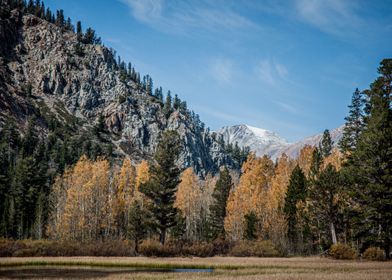 Yost Meadow in Fall