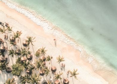 Beach Palms Aerial View