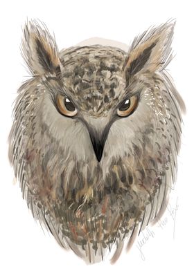 Owl