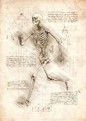 Human Skeleton Running